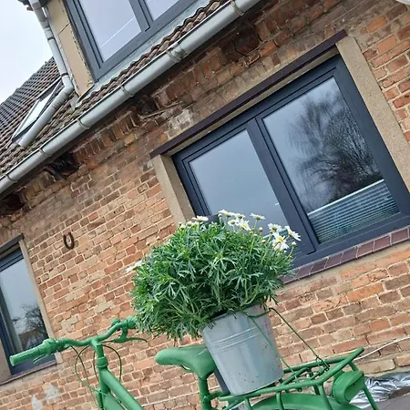 Strandhaus 度假居