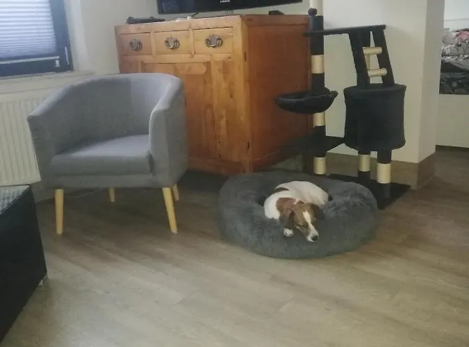 別荘 Strandhaus Neubukow